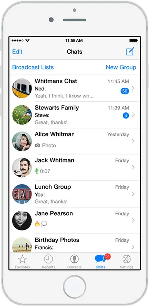 Whats App Chat Interface Screenshot PNG image