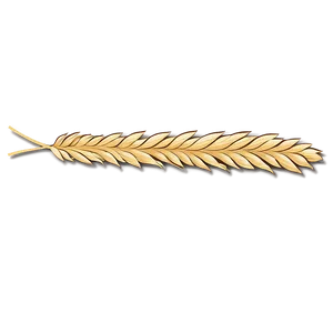 Wheat And Bread Png Hla PNG image