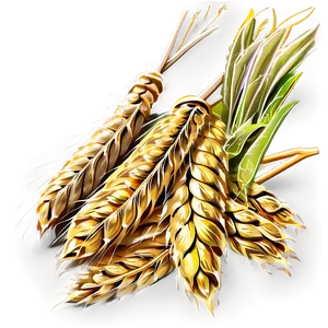 Wheat Bundle Icon Png Etc PNG image