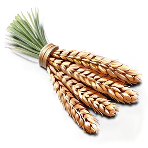 Wheat Bundle Tied Png Cyx PNG image