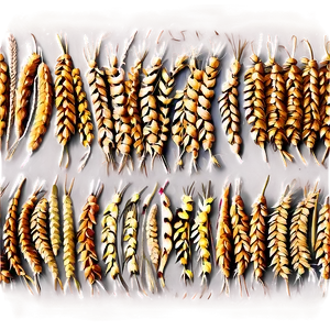 Wheat Field Aerial View Png 52 PNG image