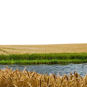 Wheat Field And River Landscape Png 46 PNG image