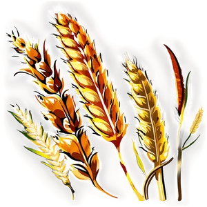 Wheat Field At Sunrise PNG 05252024