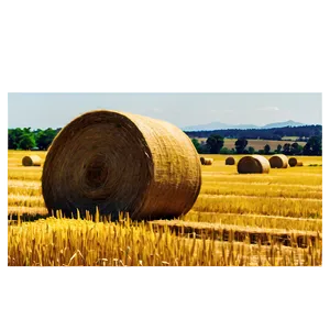 Wheat Field Bales Harvest Png Spo69 PNG image