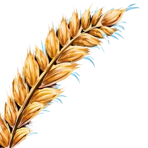 Wheat Field Under Blue Sky PNG Khw90