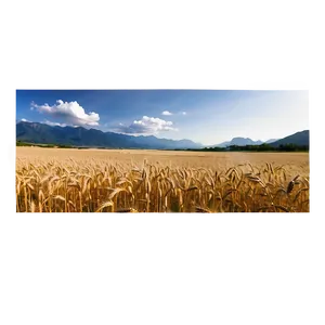 Wheat Field With Mountains Background Png 06252024 PNG image