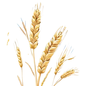 Wheat In A Gentle Breeze Png 71 PNG image