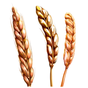 Wheat In A Gentle Breeze Png 98 PNG image