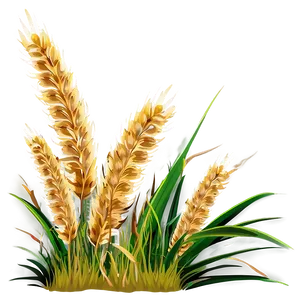 Wheat-like Grass PNG 06212024