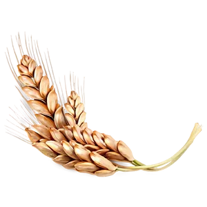 Wheat Seed Bag Png Ycj45 PNG image