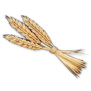 Wheat Sheaf Bundle Png Gjs21 PNG image