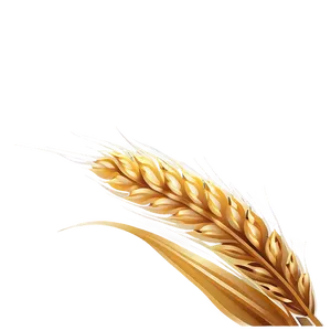 Wheat Silhouette At Dusk Png 58 PNG image