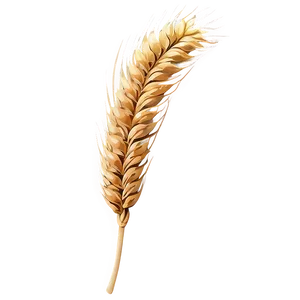 Wheat Silhouette At Dusk PNG Ree22 PNG