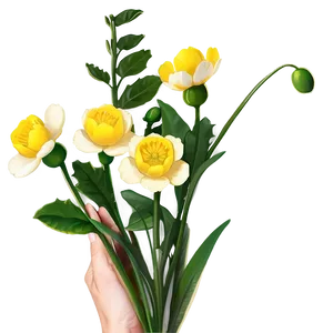 Whimsical Buttercup PNG Vun