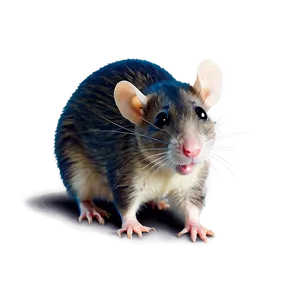 Whimsical Cute Rat Png 46 PNG image