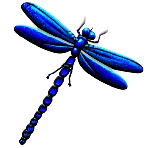Whimsical Dragonfly Png 05212024 PNG image