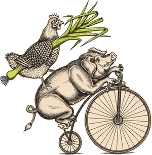 Whimsical Hippoand Chickenon Bicycle Leek Flight PNG image