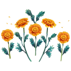 Whimsical Marigolds Illustration Png 06132024 PNG image