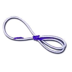 Whip For Show Png 36 PNG image