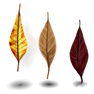 Whirling Autumn Leaves Png 20 PNG image