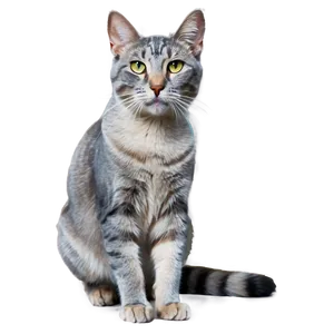 Whiskered Grey Cat PNG Tkr PNG