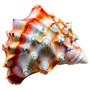 Whispering Conch Shell PNG Lsh99 PNG