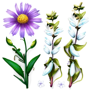 Whispering Wildflowers Png 06202024 PNG image