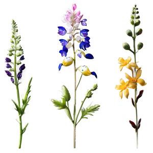 Whispering Wildflowers PNG 81