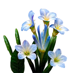 "whispers Of Nature: Gentle Flower PNG" C