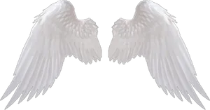 White Angel Wings Black Background