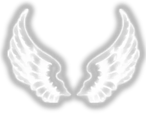 White Angel Wings Graphic PNG image