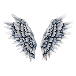 White Angel Wings Image PNG 05042024