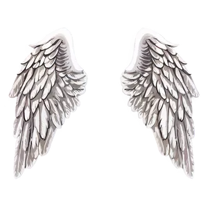 White Angel Wings Image PNG Mhm