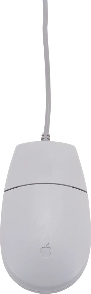 White Apple Computer Mouse PNG image
