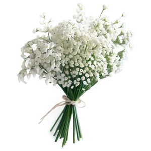 White Babys Breath Bouquet Png Jtl70 PNG image