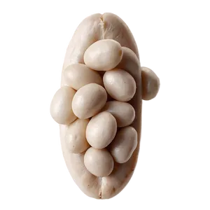 White Beans Png 69 PNG image