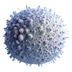 White Blood Cells Png 06122024 PNG image