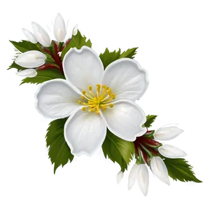 White Blossom Flower Png Ywj PNG image