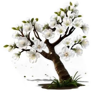 White Blossom Tree Scene PNG Aql