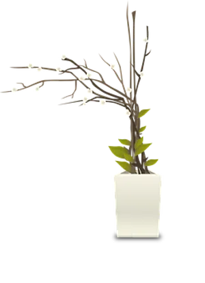 White Blossomed Branchin Vase