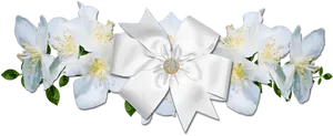 White Bowand Jasmine Flowers PNG image