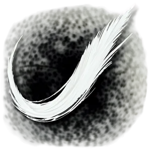 White Brush Stroke Collection PNG Fmd