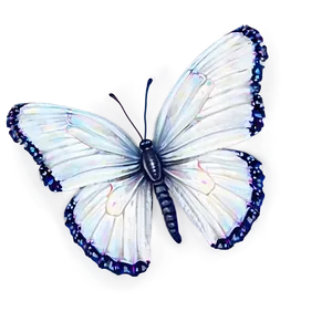 White Butterfly D