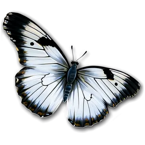 White Butterfly Graphic Png Ilc34 PNG image