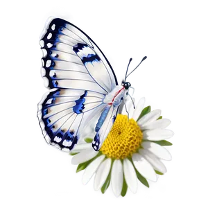 White Butterfly On Flower Png Lpt17 PNG image