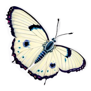 White Butterfly Side View Png Skq PNG image