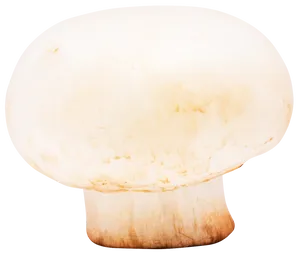 White Button Mushroom Isolated PNG image