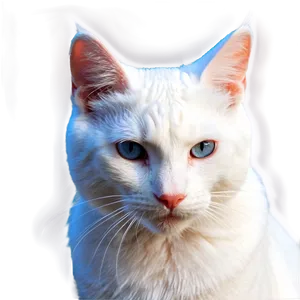 White Cat Ear PNG 06212024