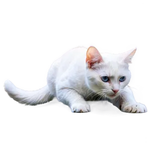 White Cat Png Inp PNG image