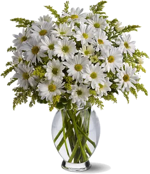 White Daisiesin Glass Vase PNG image